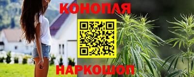 гидра Дубна