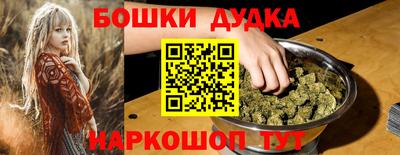 гидра Дубна