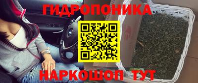 гидра Дубна