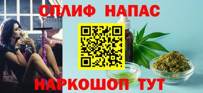 гидра Дубна
